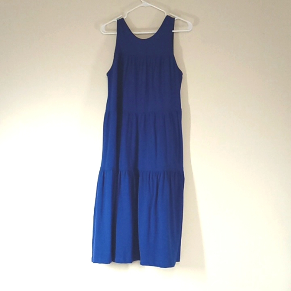 Everlane Dress Women Small NEW Casual Get Togethers  Long Sleeveless BLUE
